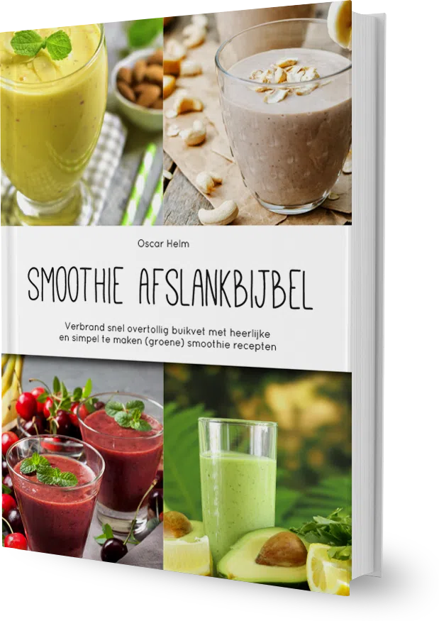 Smoothie Afslankbijbel cover