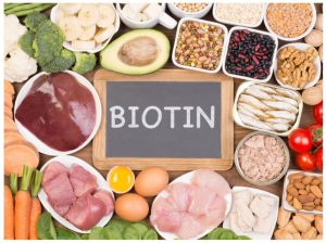 aliments riches en biotine (vitamine b8)