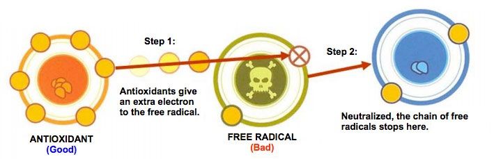 schéma illustrant la neutralisation des radicaux libres par les antioxydants