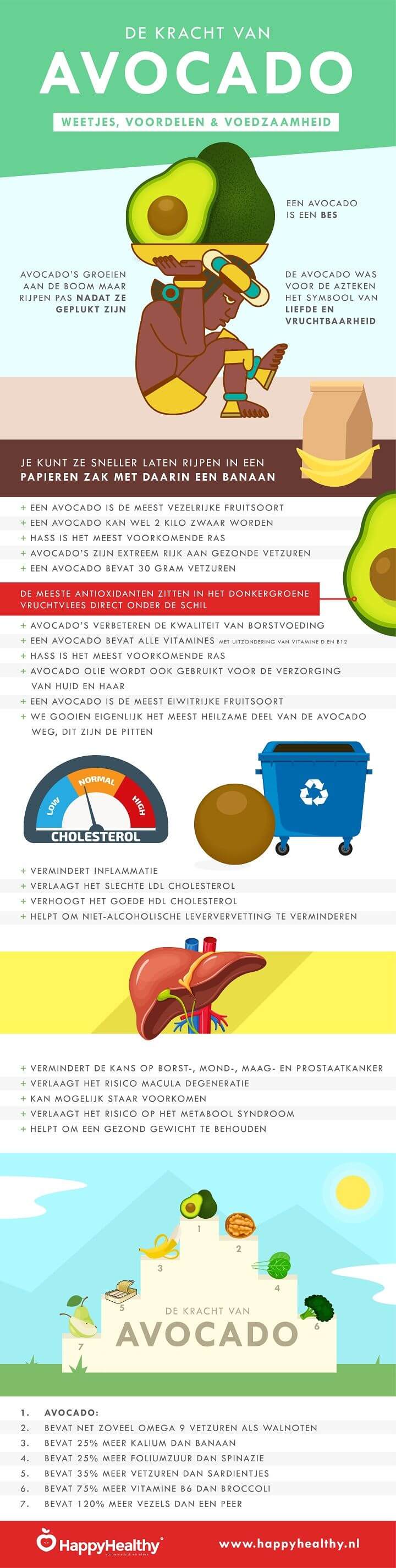 Avocado infographic