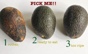 rauwe, rijpe en verrotte avocado's naast elkaar