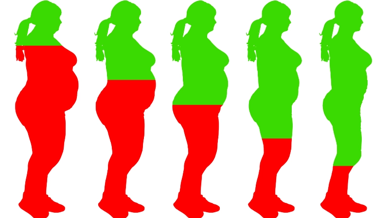Illustratie van een vrouw met overgewicht die steeds slanker wordt