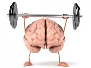 illustratie van hersenen die gezond zijn en gewichtheffen 