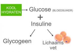 illustratie met koolhydraten die worden omgezet in glucose en insuline