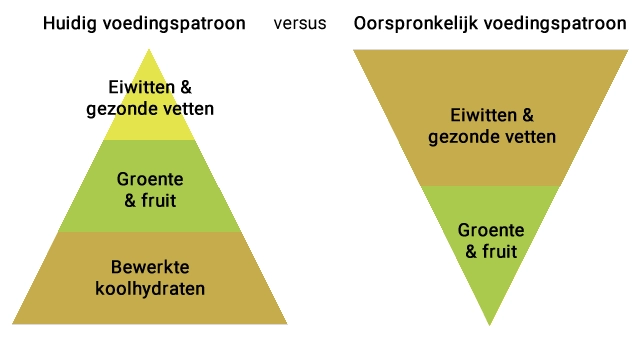 huidig versus oorspronkelijk voedingspatroon piramide