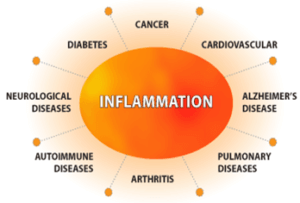 Inflammatie ligt aan de basis van verschillende welvaartsziekten, waaronder diabetes, kanker, etc. 