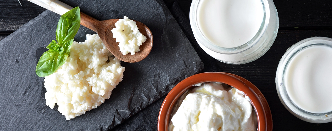 producten op tafel die uit de kefir komen, zoals yoghurt en kaas