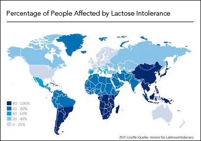 Illustratie met het percentage van de wereldbevolking dat melkallergie of lactose-intolerantie heeft