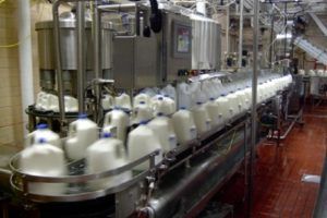 Plastic melkflessen worden gevuld in melkfabriek 