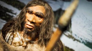 neanderthaler in ijstijd