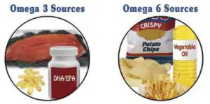 omega 3 bronnen en omega 6 bronnen waaronder chips en plantaardige olie 