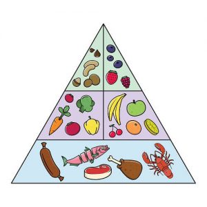 paleo dieet piramide van voedingsmiddelen
