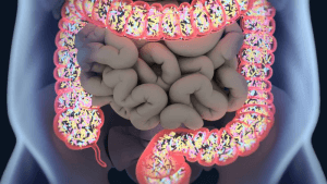 illustratie van gezonde darmbacteriën in het menselijk lichaam