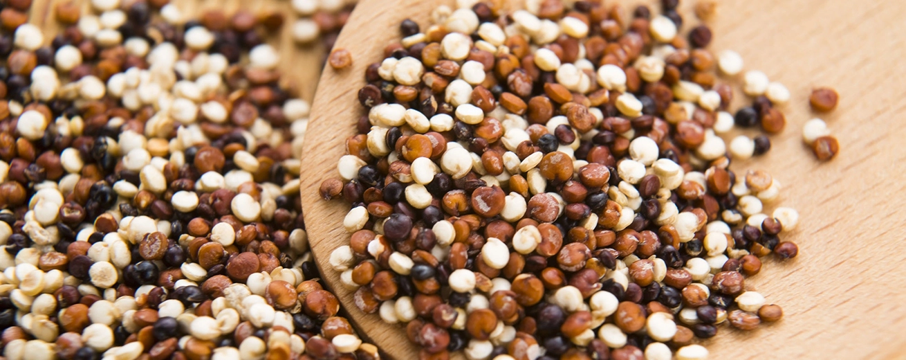 8 Gezondheidsvoordelen van Quinoa + 6 Lekkere Recepten