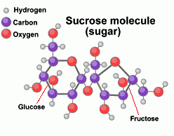 suiker-molecuul