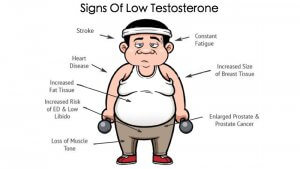 Тестостерон и либидо: как повысить уровень гормонов для улучшения сексуальной жизни