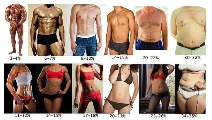 verschillende vetpercentages te zien bij mannen en vrouwen