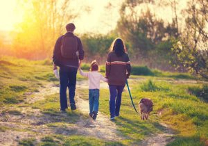gezin met hond maakt een boswandeling op een zonnige dag 
