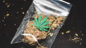 Cannabis in een doorzichtige verpakking